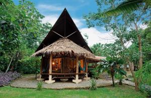 tree house beachfront lodge