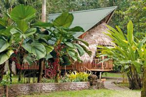 tree house beachfront lodge