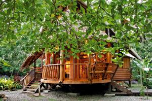 tree house beachfront lodge