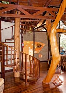 tree house beachfront lodge