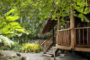 tree house beachfront lodge