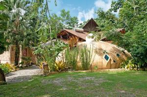 tree house beachfront lodge