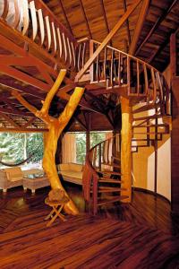 tree house beachfront lodge