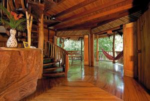 tree house beachfront lodge