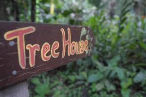 tree house beachfront lodge