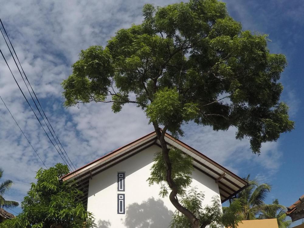 my hostels mirissa