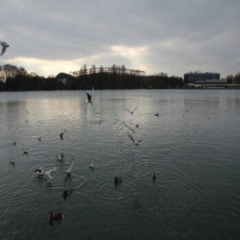 city center suites hannover