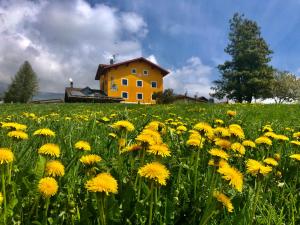 Chalet Saint-Barthelemy Hotel,,2 star