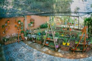 hotel tierra colorada