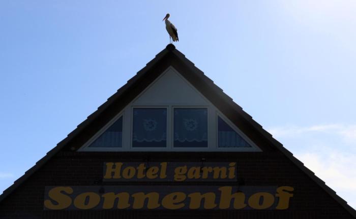 sonnenhof damnatz hotel garni
