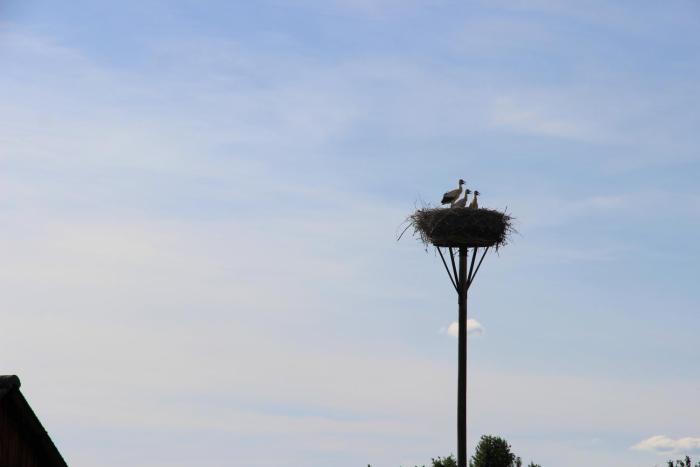 sonnenhof damnatz hotel garni