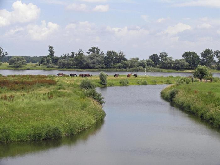 sonnenhof damnatz hotel garni