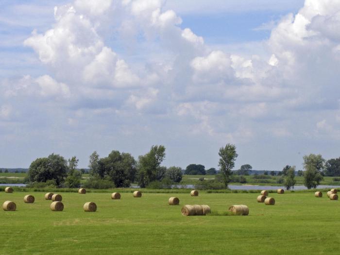 sonnenhof damnatz hotel garni