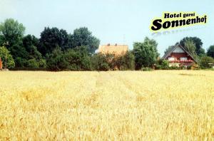 sonnenhof damnatz hotel garni