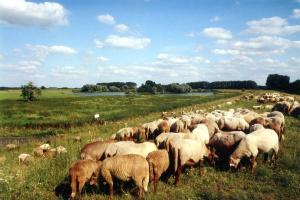 sonnenhof damnatz hotel garni