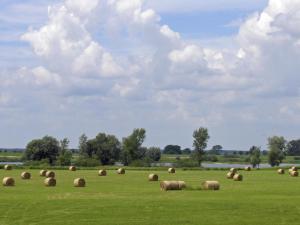 sonnenhof damnatz hotel garni