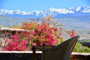 kasbah beldi