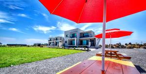 boreum pension