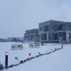 boreum pension