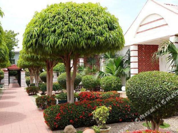 prince hotel kano