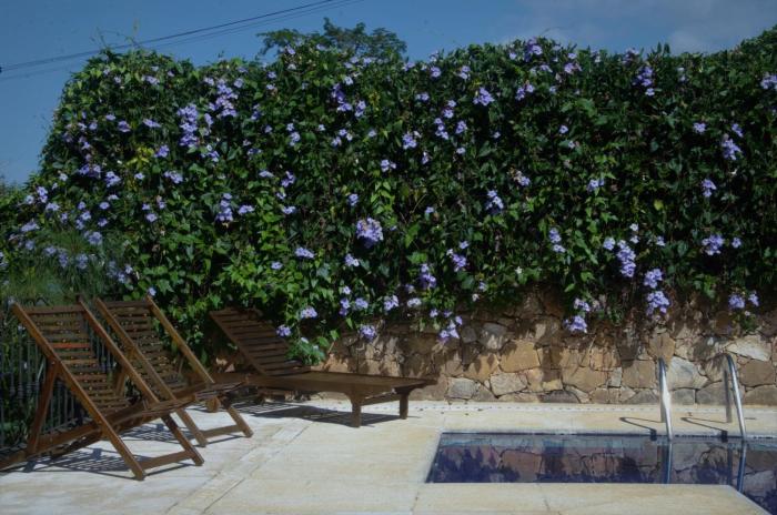 pousada araujo bazilio