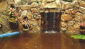 pousada araujo bazilio