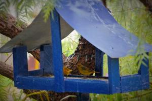 pousada araujo bazilio