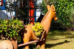 pousada araujo bazilio