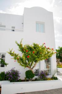 makris beach hotel