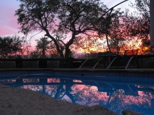 hoedspruit
