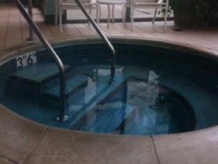 detroit metro airport marriott