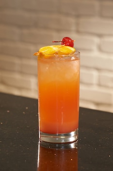 detroit metro airport marriott