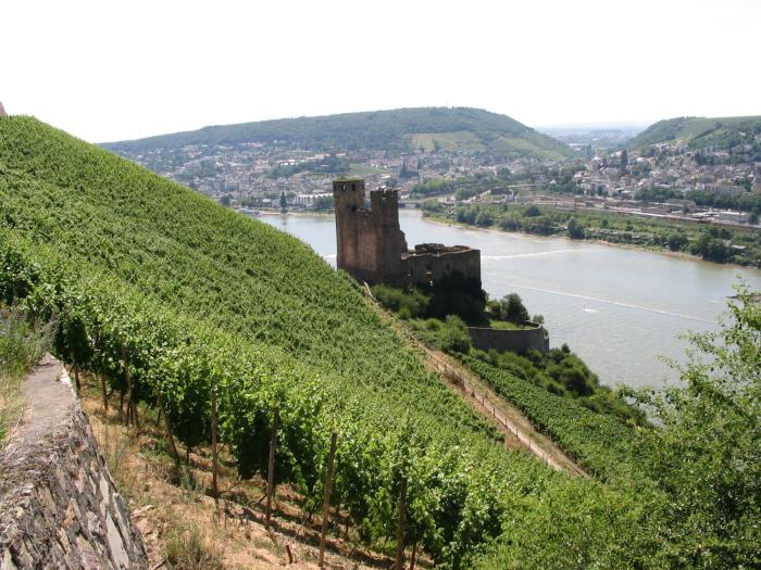 weingut und hotel schon