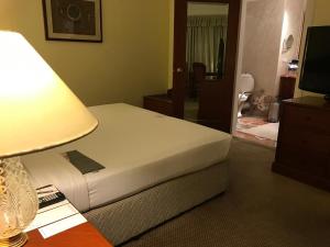 Le Royal Meridien Chennai,Guindy>>Chennai,4.5 star
