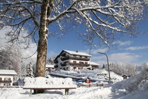 bayern resort hotel adults only