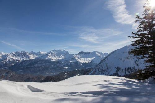 lungern