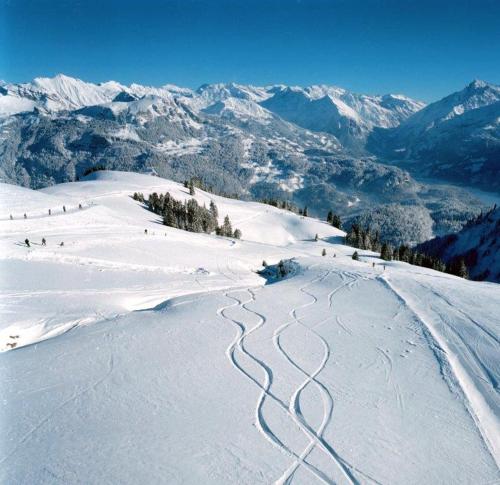 lungern