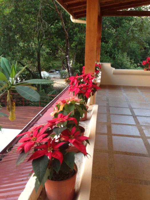 montelaguna boutique hotel