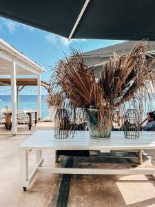 Bijblauw Hotel,Punda>>Curacao,4 star