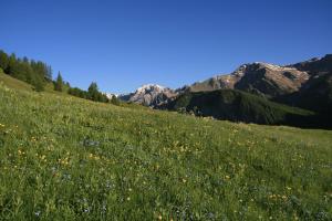 les chalets du villard