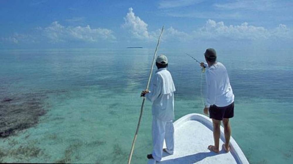 ocean tide beach resort