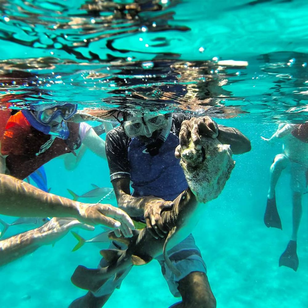 ocean tide beach resort