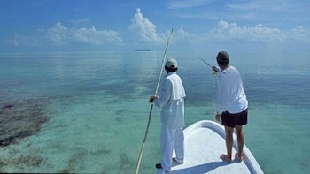 ocean tide beach resort