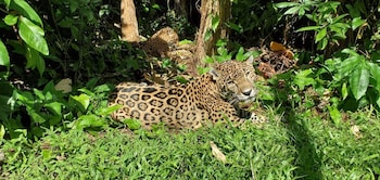 ocean tide beach resort