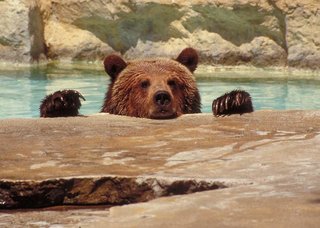 Doubletree By Hilton San Antonio Downtown,Texas>>San Antonio,4 star