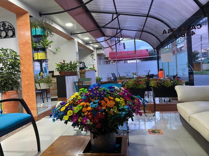 hotel casa lamay