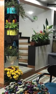 hotel casa lamay