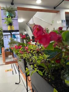 hotel casa lamay