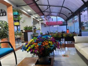 hotel casa lamay