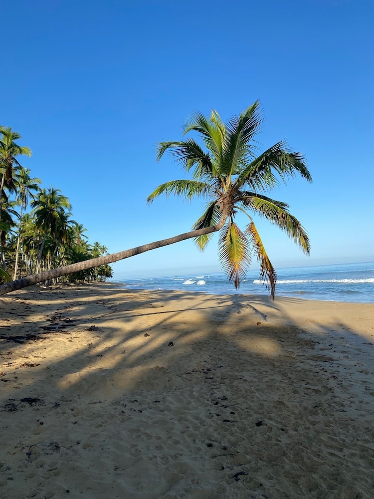 las terrenas